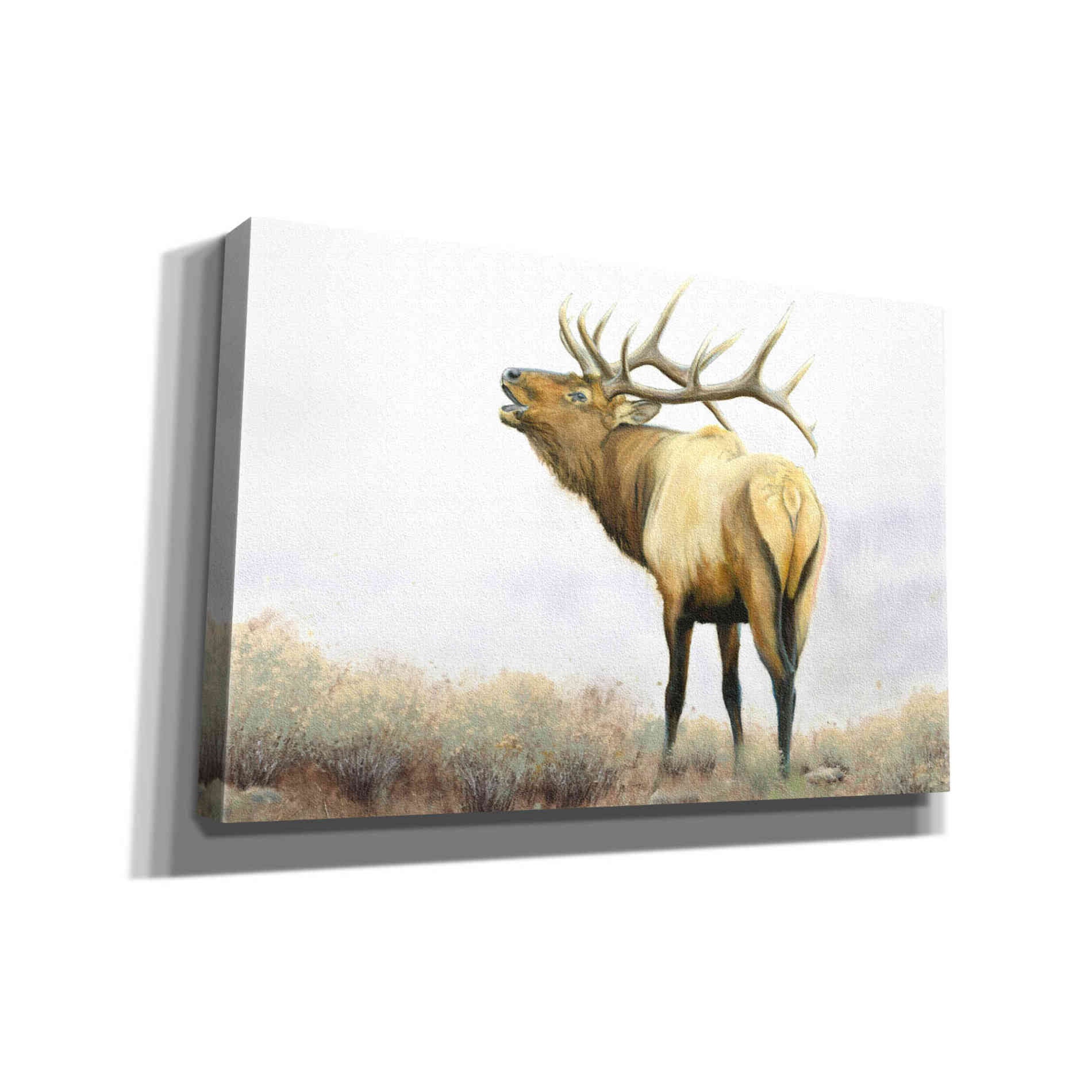 'Majestic Elk' by James Wiens, Canvas Wall Art,18x12x1.1x0,26x18x1.1x0,40x26x1.74x0,60x40x1.74x0