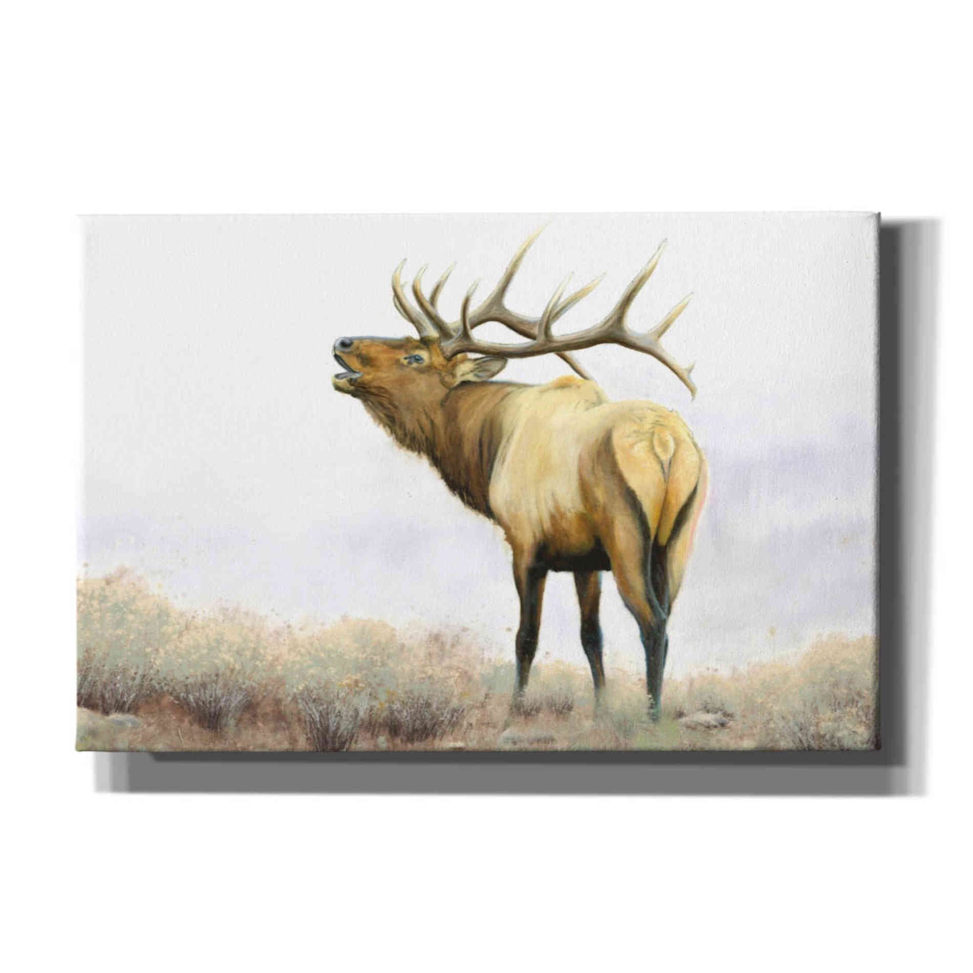 'Majestic Elk' by James Wiens, Canvas Wall Art,18x12x1.1x0,26x18x1.1x0,40x26x1.74x0,60x40x1.74x0
