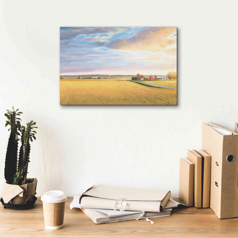 Image of 'Heartland Landscape' by James Wiens, Canvas Wall Art,18 x 12