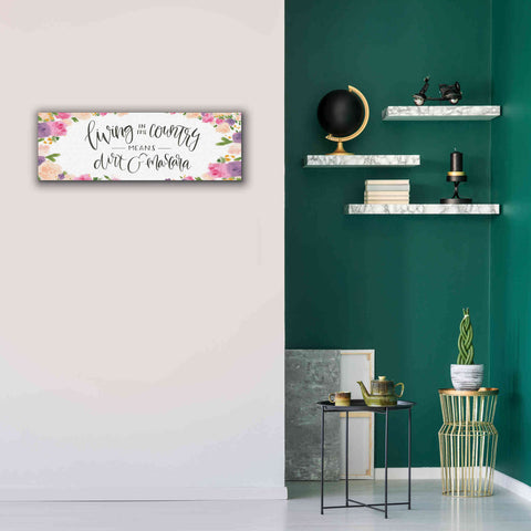 Image of 'Beautiful Country IV' by James Wiens, Canvas Wall Art,36 x 12