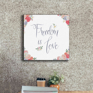 'Spirit Stallion VII' by James Wiens, Canvas Wall Art,18 x 18