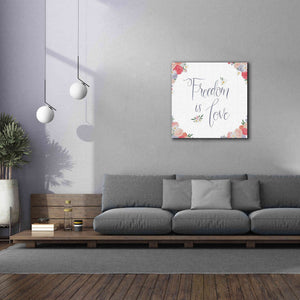 'Spirit Stallion VII' by James Wiens, Canvas Wall Art,37 x 37
