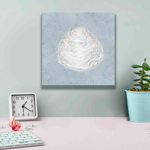 Image of 'Serene Shells I' by James Wiens, Canvas Wall Art,12 x 12
