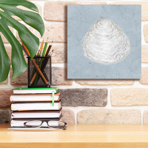 Image of 'Serene Shells I' by James Wiens, Canvas Wall Art,12 x 12