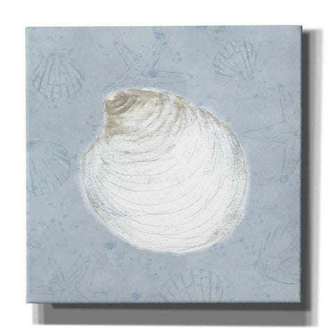 Image of 'Serene Shells II' by James Wiens, Canvas Wall Art,12x12x1.1x0,18x18x1.1x0,26x26x1.74x0,37x37x1.74x0