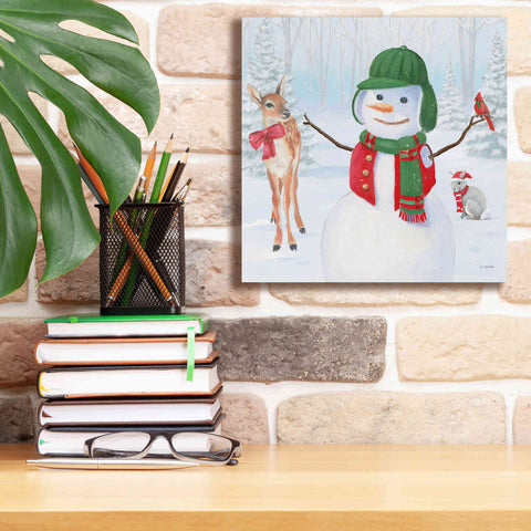 Image of 'Dressed for Christmas I Crop' by James Wiens, Canvas Wall Art,12 x 12