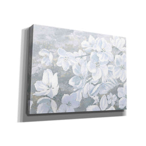 'Grand Array I' by James Wiens, Canvas Wall Art,16x12x1.1x0,26x18x1.1x0,34x26x1.74x0,54x40x1.74x0