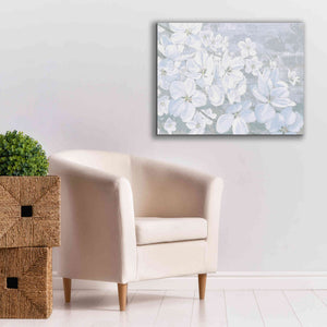 'Grand Array II' by James Wiens, Canvas Wall Art,34 x 26