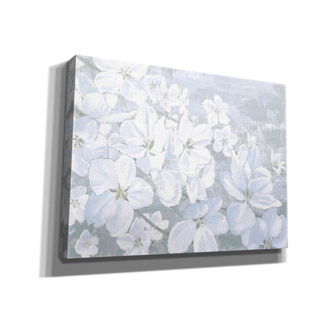Image of 'Grand Array II' by James Wiens, Canvas Wall Art,16x12x1.1x0,26x18x1.1x0,34x26x1.74x0,54x40x1.74x0