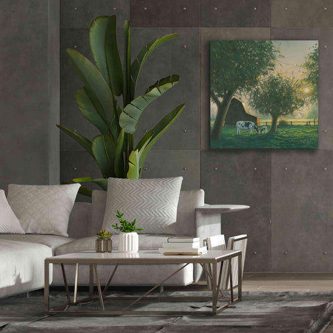 Image of 'Farm Life IV' by James Wiens, Canvas Wall Art,37 x 37
