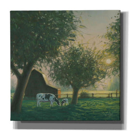 'Farm Life IV' by James Wiens, Canvas Wall Art,12x12x1.1x0,18x18x1.1x0,26x26x1.74x0,37x37x1.74x0