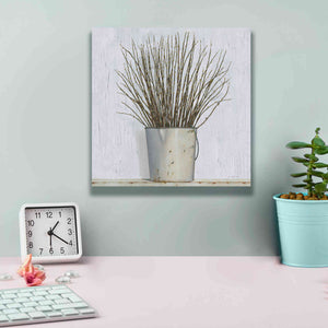 'Early Spring' by James Wiens, Canvas Wall Art,12 x 12