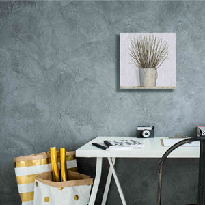 'Early Spring' by James Wiens, Canvas Wall Art,12 x 12