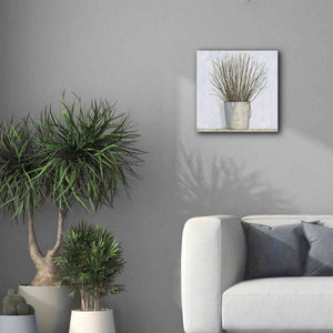 'Early Spring' by James Wiens, Canvas Wall Art,18 x 18
