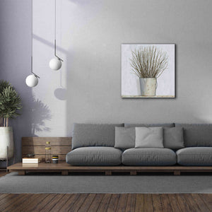 'Early Spring' by James Wiens, Canvas Wall Art,37 x 37
