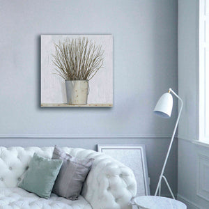 'Early Spring' by James Wiens, Canvas Wall Art,37 x 37
