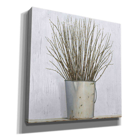 Image of 'Early Spring' by James Wiens, Canvas Wall Art,12x12x1.1x0,18x18x1.1x0,26x26x1.74x0,37x37x1.74x0