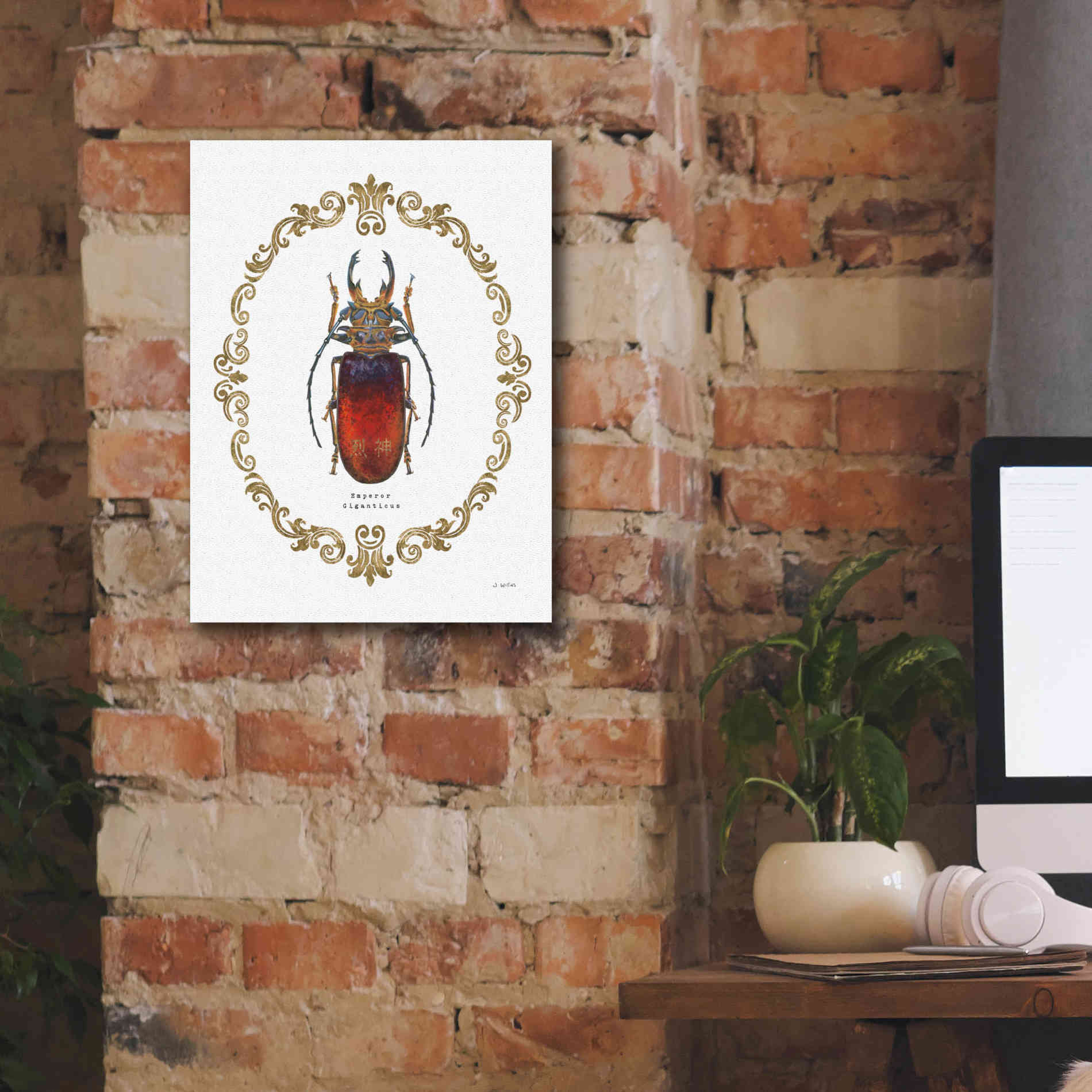 'Adorning Coleoptera I' by James Wiens, Canvas Wall Art,12 x 16
