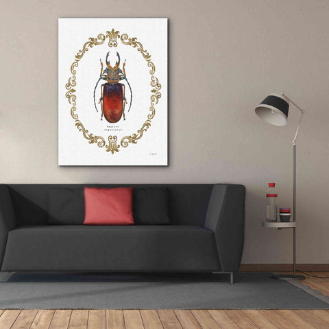 Image of 'Adorning Coleoptera I' by James Wiens, Canvas Wall Art,40 x 54
