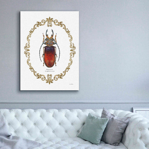 Image of 'Adorning Coleoptera I' by James Wiens, Canvas Wall Art,40 x 54
