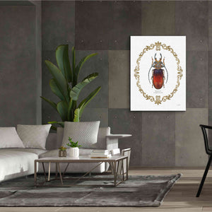 'Adorning Coleoptera I' by James Wiens, Canvas Wall Art,40 x 54