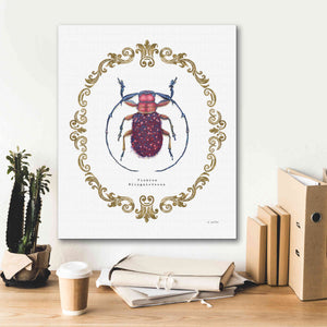 'Adorning Coleoptera II' by James Wiens, Canvas Wall Art,20 x 24