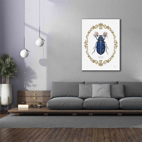 Image of 'Adorning Coleoptera III' by James Wiens, Canvas Wall Art,40 x 54