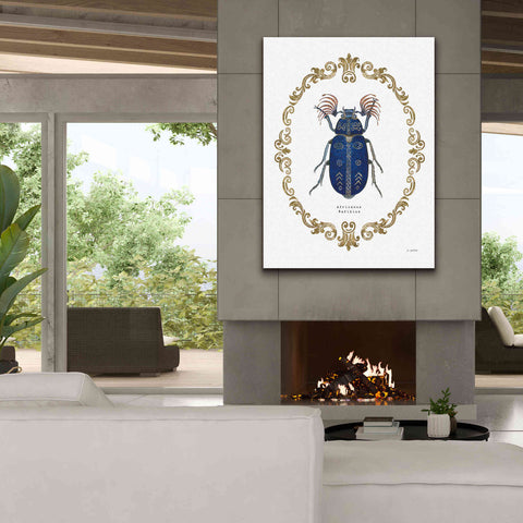 Image of 'Adorning Coleoptera III' by James Wiens, Canvas Wall Art,40 x 54