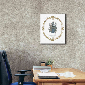 'Adorning Coleoptera IV' by James Wiens, Canvas Wall Art,20 x 24