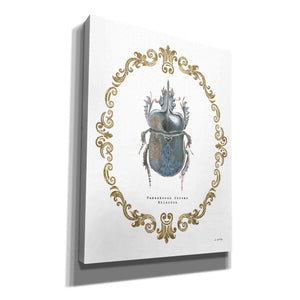 'Adorning Coleoptera IV' by James Wiens, Canvas Wall Art,12x16x1.1x0,20x24x1.1x0,26x30x1.74x0,40x54x1.74x0