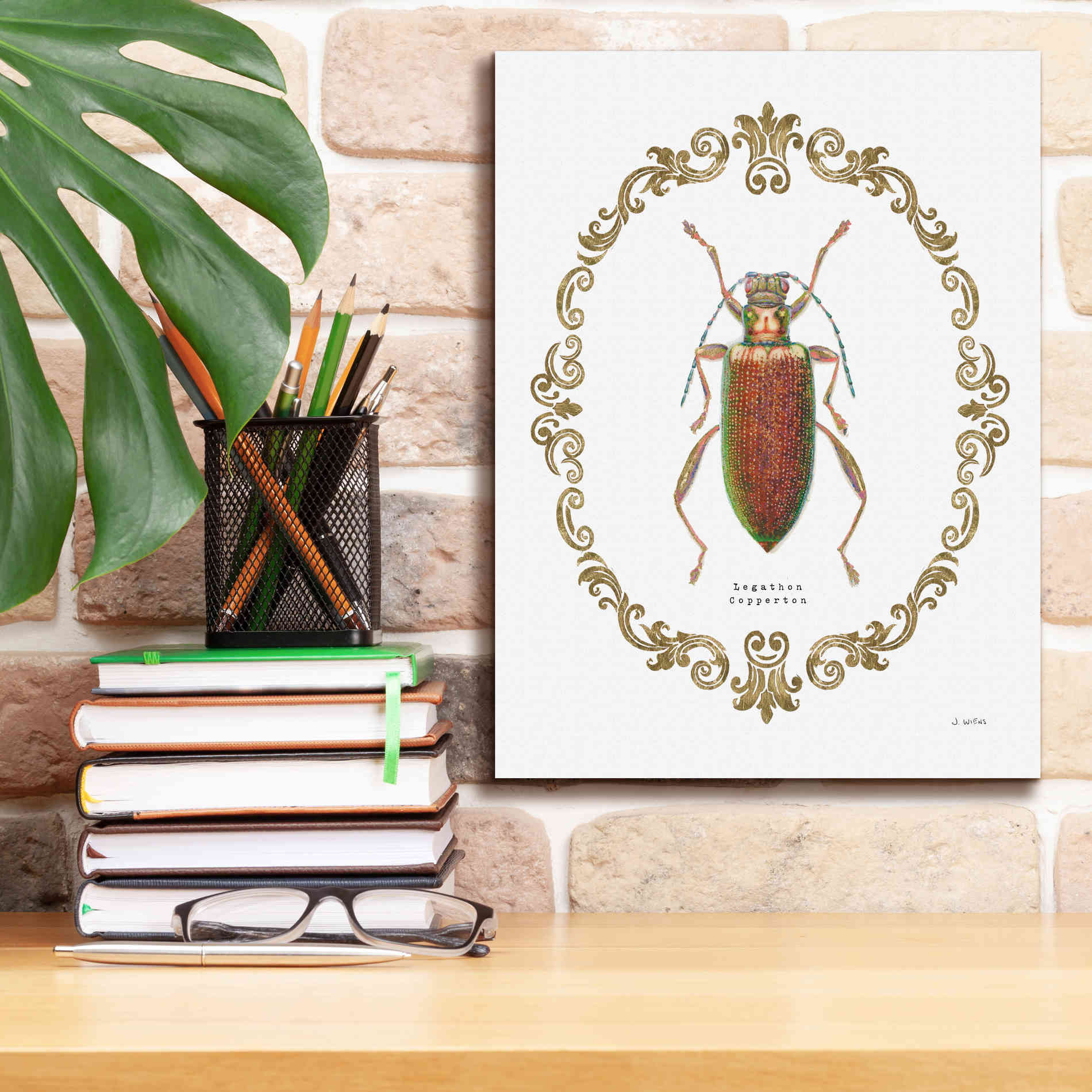 'Adorning Coleoptera VI' by James Wiens, Canvas Wall Art,12 x 16