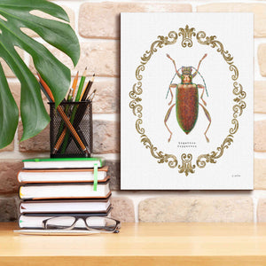 'Adorning Coleoptera VI' by James Wiens, Canvas Wall Art,12 x 16