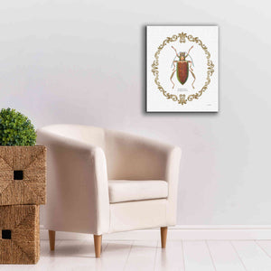 'Adorning Coleoptera VI' by James Wiens, Canvas Wall Art,20 x 24