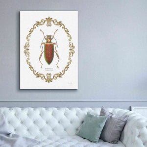 'Adorning Coleoptera VI' by James Wiens, Canvas Wall Art,40 x 54