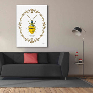 'Adorning Coleoptera VII' by James Wiens, Canvas Wall Art,40 x 54