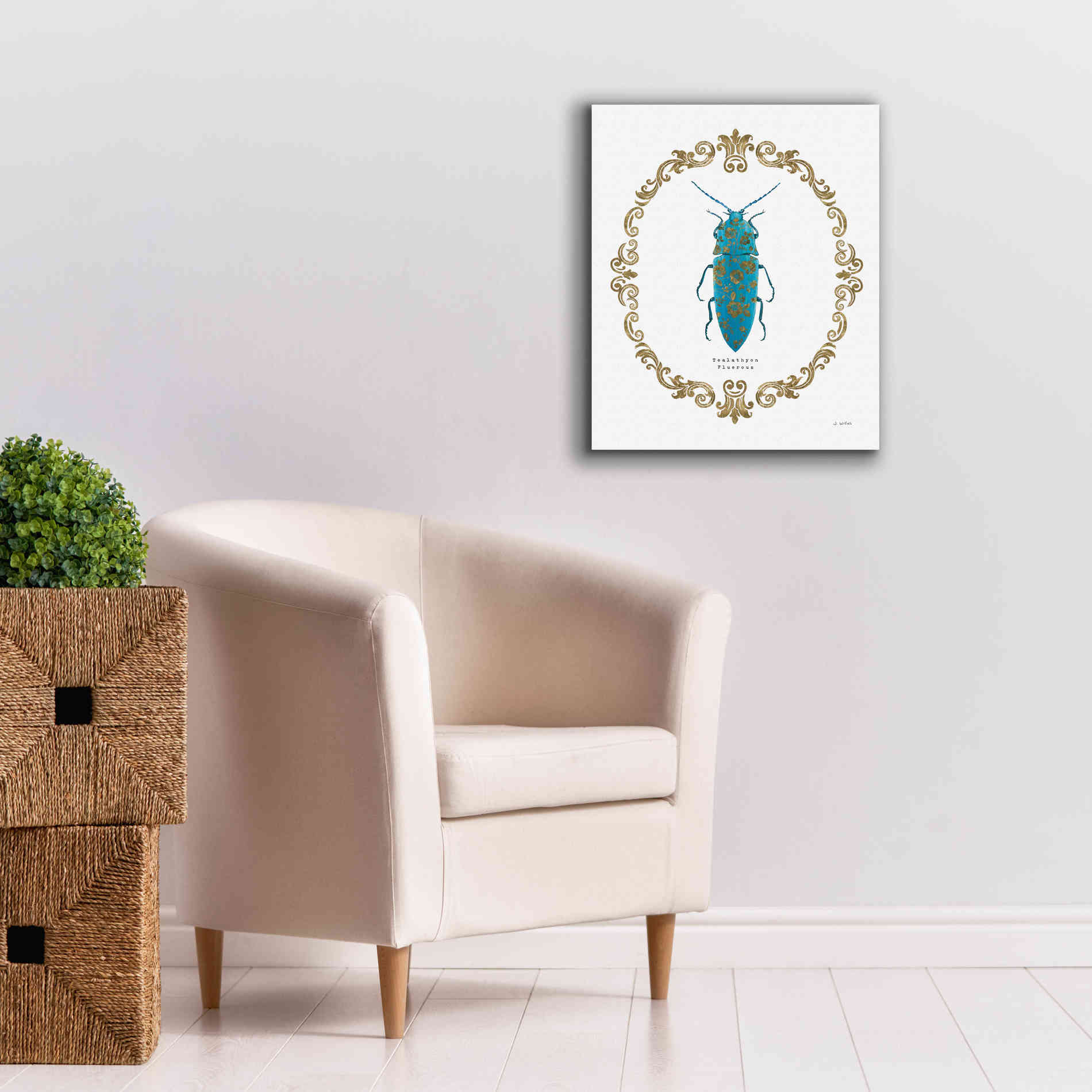'Adorning Coleoptera VIII' by James Wiens, Canvas Wall Art,20 x 24