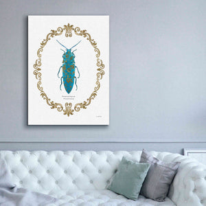 'Adorning Coleoptera VIII' by James Wiens, Canvas Wall Art,40 x 54