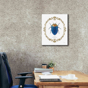 'Adorning Coleoptera V' by James Wiens, Canvas Wall Art,20 x 24