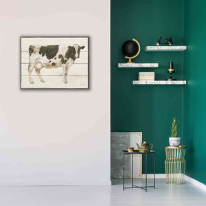 'Country Cow VII' by James Wiens, Canvas Wall Art,34 x 26