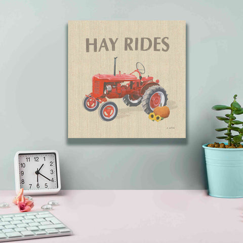 Image of 'Heartland Harvest Moments V' by James Wiens, Canvas Wall Art,12 x 12