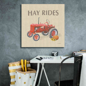 'Heartland Harvest Moments V' by James Wiens, Canvas Wall Art,26 x 26