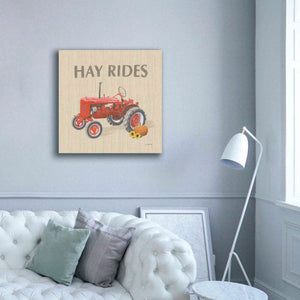 'Heartland Harvest Moments V' by James Wiens, Canvas Wall Art,37 x 37