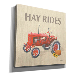 'Heartland Harvest Moments V' by James Wiens, Canvas Wall Art,12x12x1.1x0,18x18x1.1x0,26x26x1.74x0,37x37x1.74x0