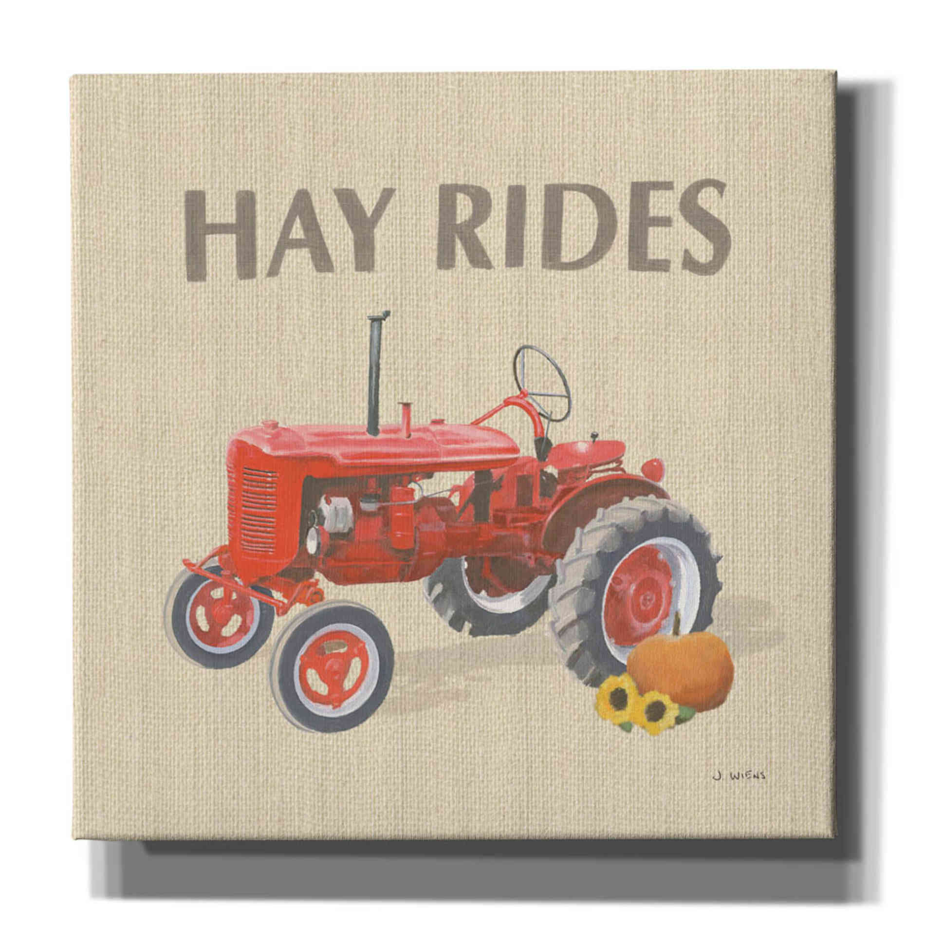 'Heartland Harvest Moments V' by James Wiens, Canvas Wall Art,12x12x1.1x0,18x18x1.1x0,26x26x1.74x0,37x37x1.74x0
