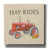 'Heartland Harvest Moments V' by James Wiens, Canvas Wall Art,12x12x1.1x0,18x18x1.1x0,26x26x1.74x0,37x37x1.74x0