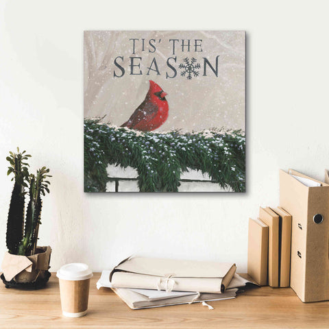 Image of 'Christmas Affinity X' by James Wiens, Canvas Wall Art,18 x 18