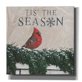 'Christmas Affinity X' by James Wiens, Canvas Wall Art,12x12x1.1x0,18x18x1.1x0,26x26x1.74x0,37x37x1.74x0