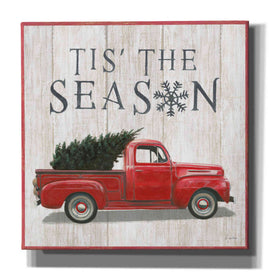 'Christmas Affinity XI' by James Wiens, Canvas Wall Art,12x12x1.1x0,18x18x1.1x0,26x26x1.74x0,37x37x1.74x0