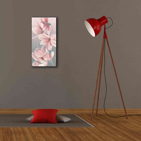 Image of 'Sunrise Blossom II' by James Wiens, Canvas Wall Art,12 x 24