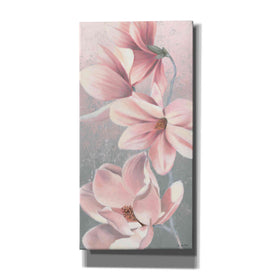 'Sunrise Blossom II' by James Wiens, Canvas Wall Art,12x24x1.1x0,20x40x1.74x0,30x60x1.74x0